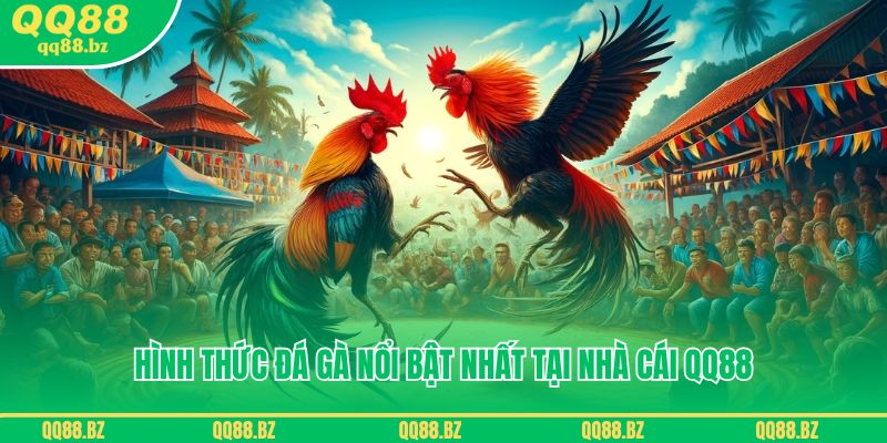 Các hình thức đá gà nổi bật nhất tại nhà cái QQ88